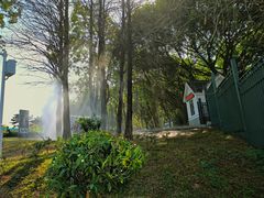 -东莞植物园
