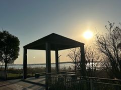 -苏州湾体育公园