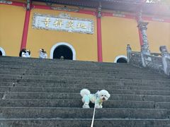 -九华山风景区