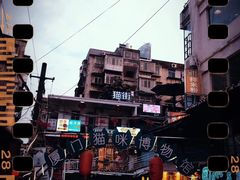 -猫咪博物馆(顶澳仔猫街店)