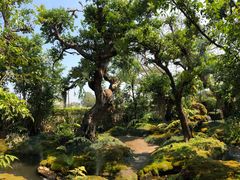 -Chom Cafe and Restaurant