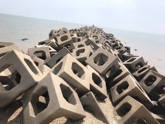 -东疆建设开发纪念公园