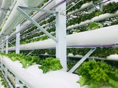 -兰陵国家农业公园