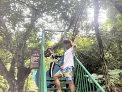 -呀诺达热带雨林