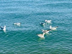 -青海湖二郎剑景区