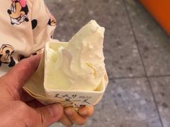 -野人先生现做冰淇淋(北京王府井东方新天地店)