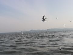 -福田红树林生态公园