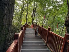 -终南山国家森林公园