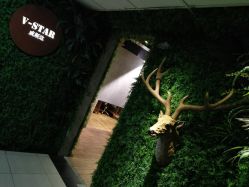 -V-STAR威斯达•高级私人定制