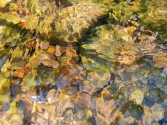 -广州白江湖森林公园