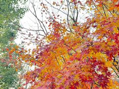 -比斯特上海购物村精品奥特莱斯