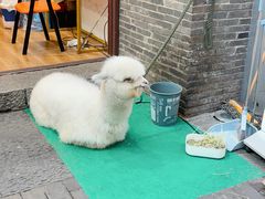 -东西巷