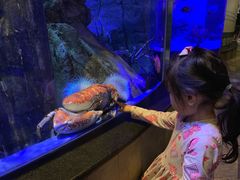 -迪拜水族馆及水下动物园
