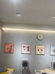 -洗脸猫·洗脸吧