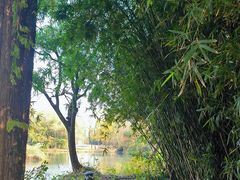 -西溪国家湿地公园