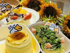 -狐狸和向日葵(北京路店)