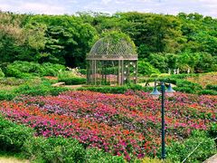 -济州森林小火车生态公园