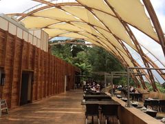 -怀托摩萤火虫洞