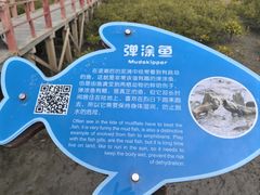 -北海金海湾红树林生态旅游区