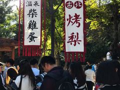-古北烤梨