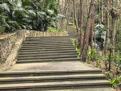 -铁山坪森林公园