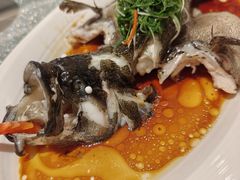 -南海渔村(珠江新城店)