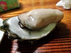 -大富蚝乌东哥饭店·石锅鱼杂·柠檬鸭(革新路店)