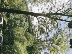 -美的鹭湖森林度假区