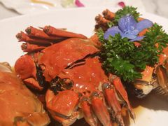 -蝶园·装修中(BFC外滩金融中心店)