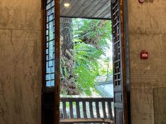 -星巴克(福州三坊七巷店)