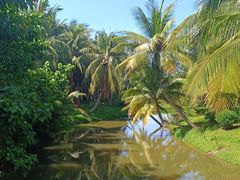 -白沙门生态公园