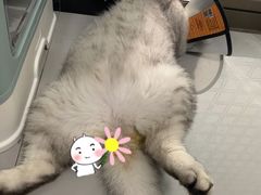 -福州肆爪动物医院