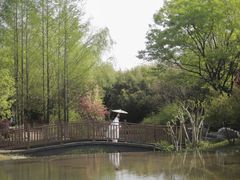 -武汉园博园(武汉自然博物馆)