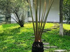 -广州神农草堂中医药博物馆