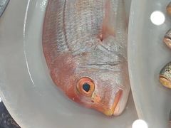 -梅子大排档