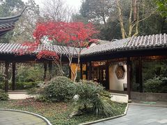 -十八棵（老龙井）御茶园(老龙井店)