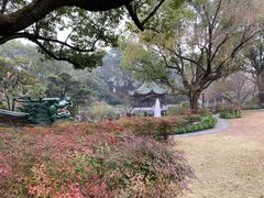 -申粤轩酒楼·三十年粤菜经典(丁香花园店)