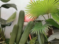 -意满花千醉(金茂览秀城店)