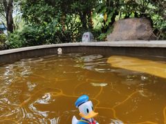 -郑州银基黄帝宫御温泉