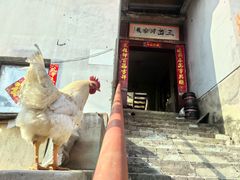 -三岔涧农家乐