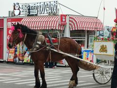 -茯茶镇