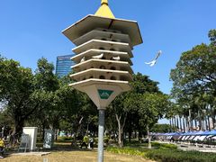 -顺峰山公园