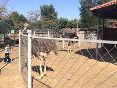 iphone_upload_pic-意大利农场度假村