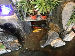 -燚焱炎火铜锅涮·烧烤