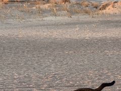 -夏家合汁(天润花园小区店)