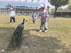-苏州太湖西山岛开心农场