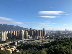 -金鸡山公园