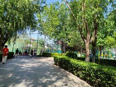 -莲花池公园