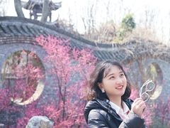 -朴园