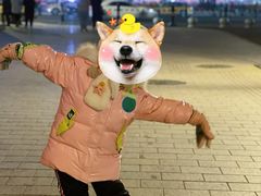 -人民防洪胜利纪念塔